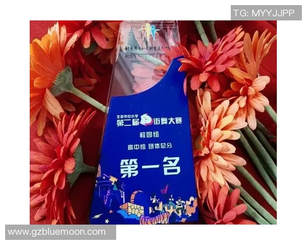 北京街舞队比赛经验分析与表现评估探讨 北京街舞队比赛经验分析与表现评估探讨