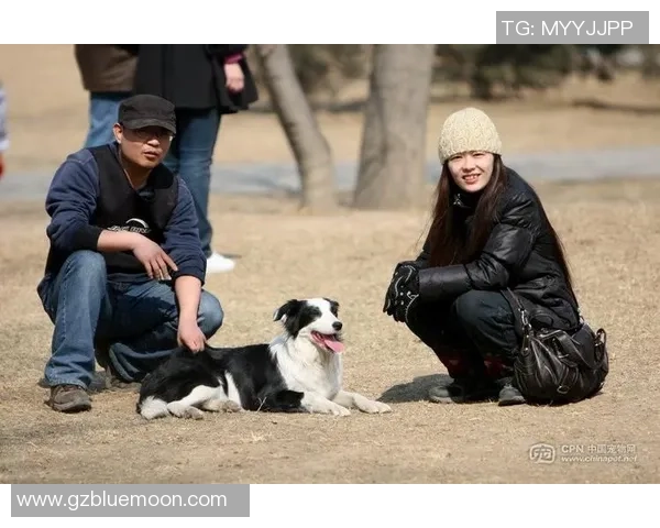 北京飞盘队进攻策略分析与得失总结探讨