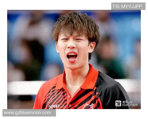 南京乒乓球队在冠军赛中的个人能力表现分析与点评 南京乒乓球队在冠军赛中的个人能力表现分析与点评