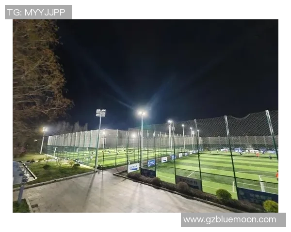 南京足球队的华丽转身:从传统强队到现代化足球俱乐部的蜕变之路 南京足球队的华丽转身:从传统强队到现代化足球俱乐部的蜕变之路