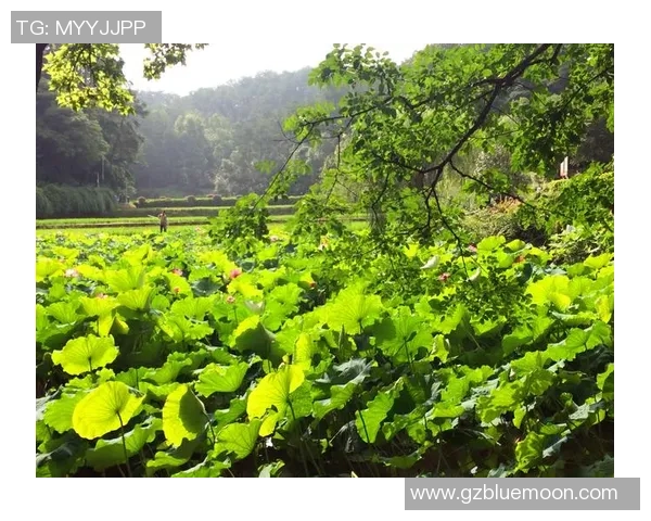 深度对话:刘静如何在足球世界中追寻梦想与成长 深度对话:刘静如何在足球世界中追寻梦想与成长