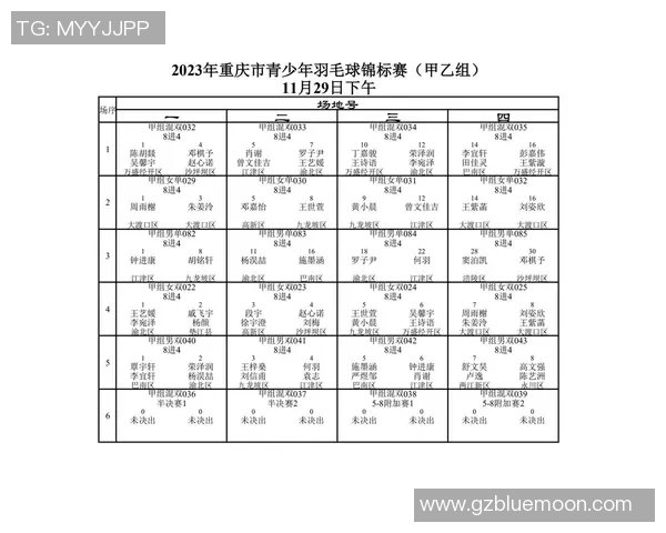 重庆羽毛球队与上海羽毛球队速度对比赛后分析与战术总结